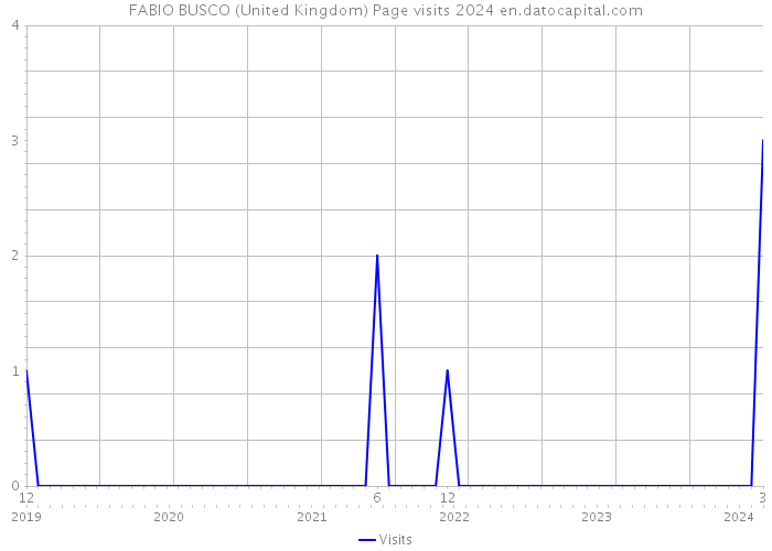 FABIO BUSCO (United Kingdom) Page visits 2024 