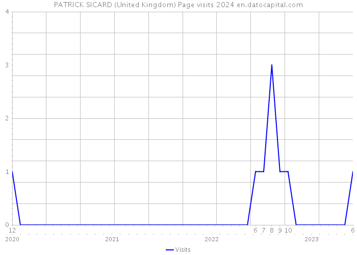 PATRICK SICARD (United Kingdom) Page visits 2024 