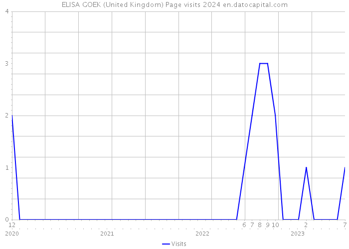 ELISA GOEK (United Kingdom) Page visits 2024 