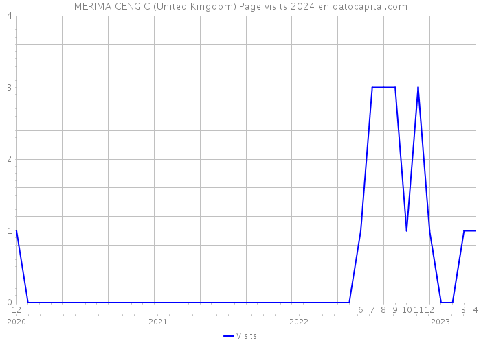 MERIMA CENGIC (United Kingdom) Page visits 2024 