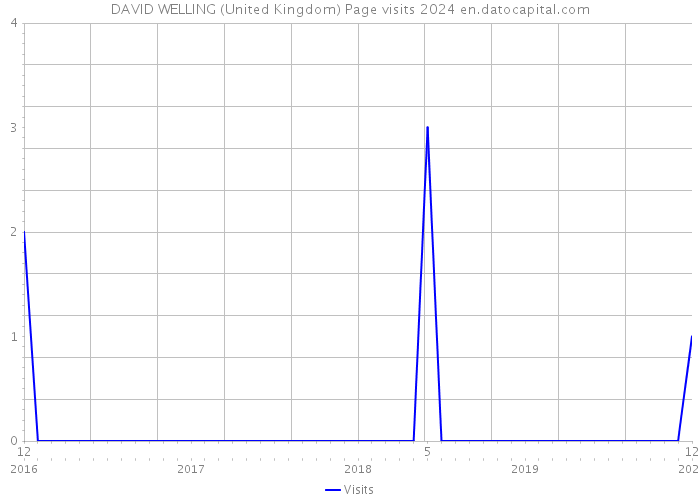 DAVID WELLING (United Kingdom) Page visits 2024 