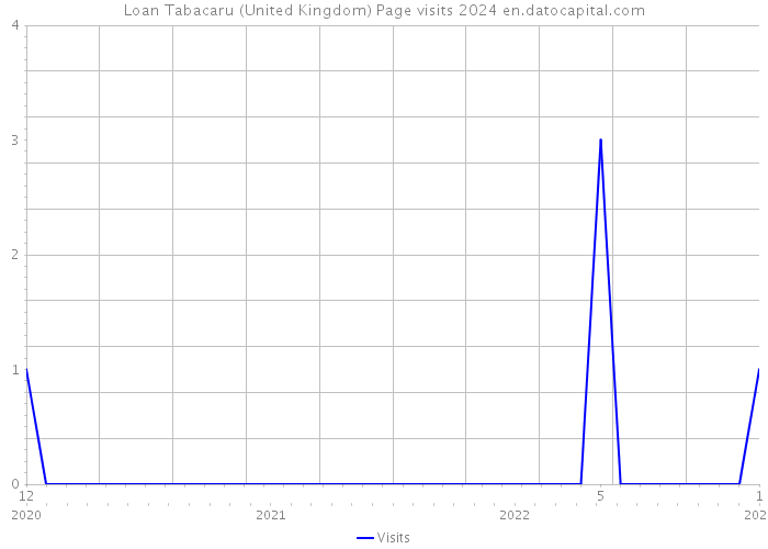 Loan Tabacaru (United Kingdom) Page visits 2024 