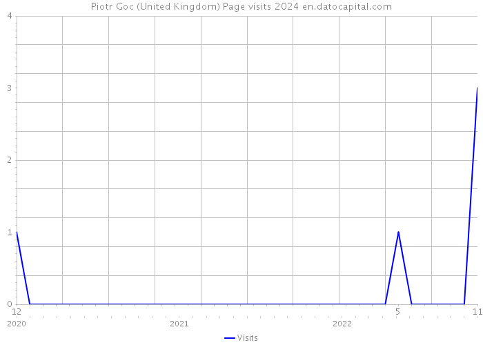 Piotr Goc (United Kingdom) Page visits 2024 