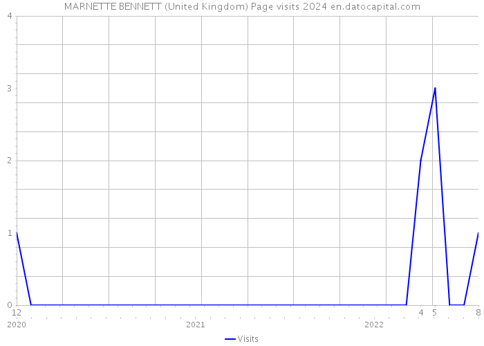 MARNETTE BENNETT (United Kingdom) Page visits 2024 