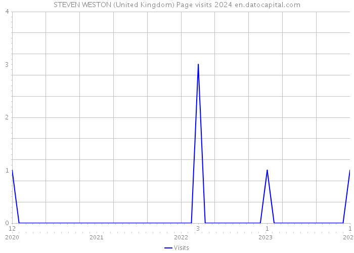 STEVEN WESTON (United Kingdom) Page visits 2024 