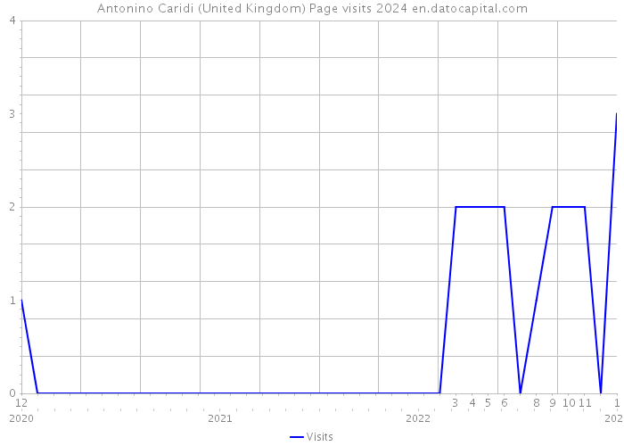 Antonino Caridi (United Kingdom) Page visits 2024 