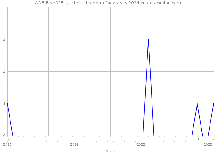 ADELE KARPEL (United Kingdom) Page visits 2024 