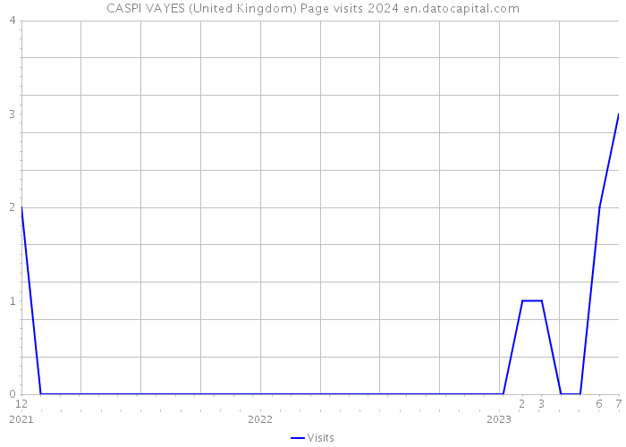 CASPI VAYES (United Kingdom) Page visits 2024 