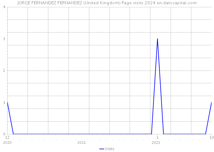 JORGE FERNANDEZ FERNANDEZ (United Kingdom) Page visits 2024 