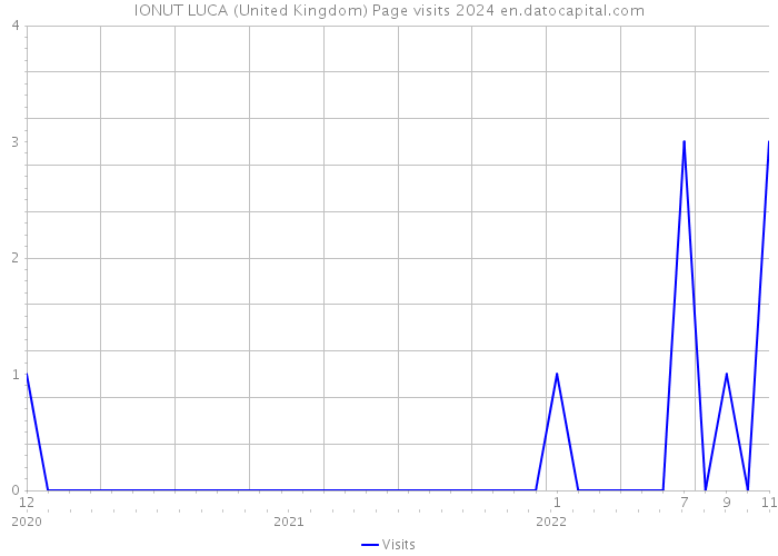 IONUT LUCA (United Kingdom) Page visits 2024 