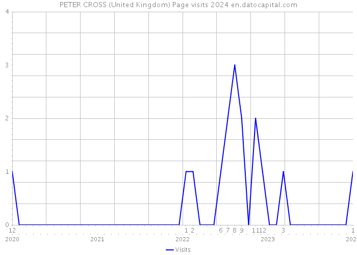 PETER CROSS (United Kingdom) Page visits 2024 