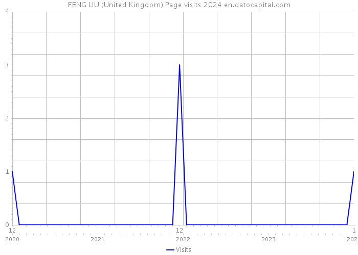 FENG LIU (United Kingdom) Page visits 2024 