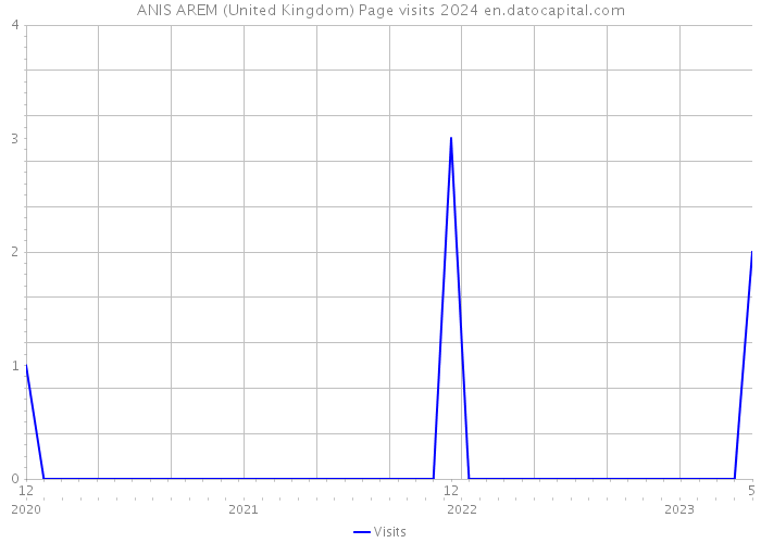 ANIS AREM (United Kingdom) Page visits 2024 