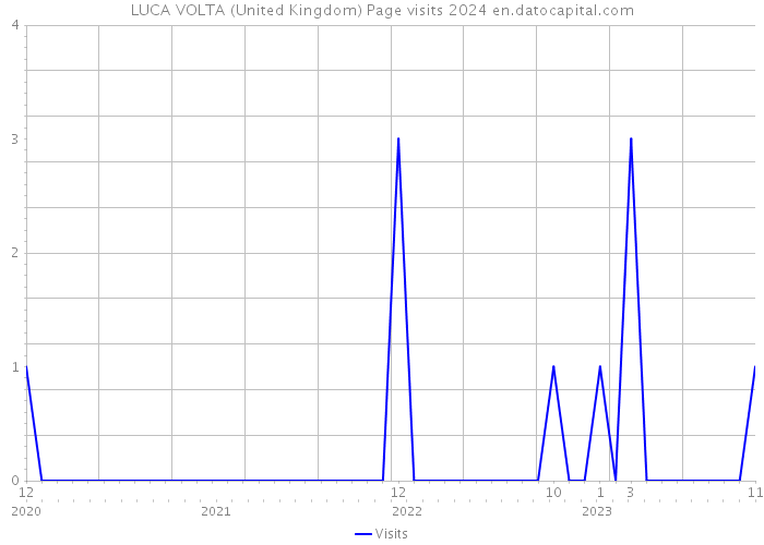 LUCA VOLTA (United Kingdom) Page visits 2024 