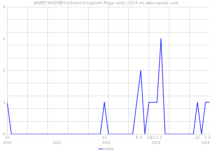 JAMES MADSEN (United Kingdom) Page visits 2024 
