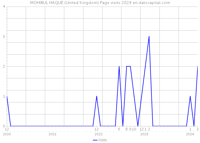 MOHIBUL HAQUE (United Kingdom) Page visits 2024 