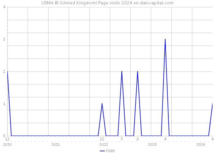 USMA BI (United Kingdom) Page visits 2024 