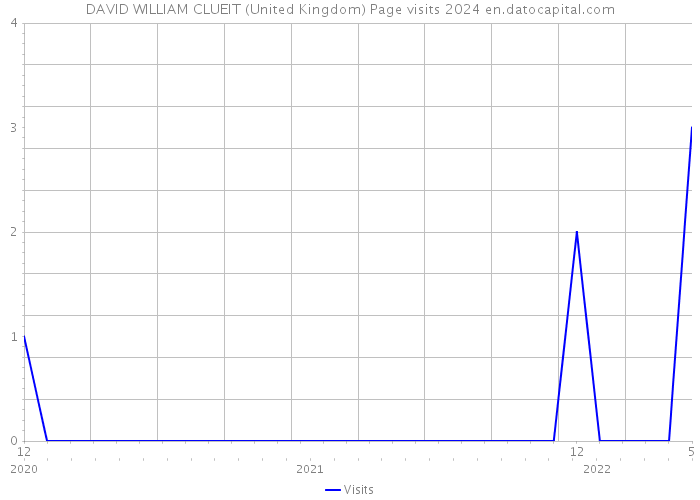 DAVID WILLIAM CLUEIT (United Kingdom) Page visits 2024 