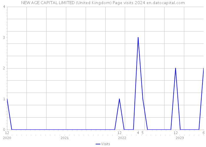 NEW AGE CAPITAL LIMITED (United Kingdom) Page visits 2024 