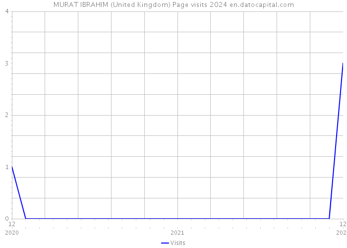 MURAT IBRAHIM (United Kingdom) Page visits 2024 