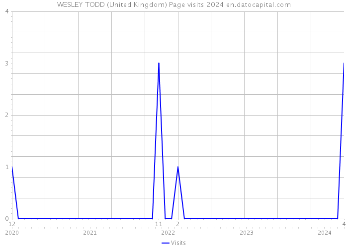 WESLEY TODD (United Kingdom) Page visits 2024 