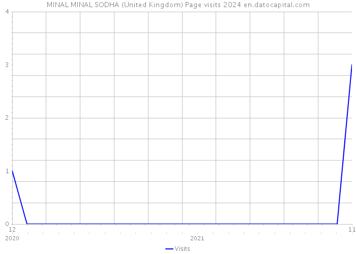 MINAL MINAL SODHA (United Kingdom) Page visits 2024 
