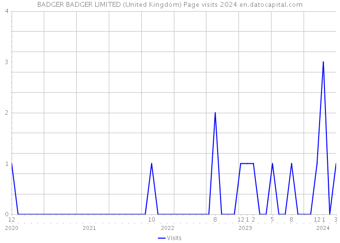 BADGER BADGER LIMITED (United Kingdom) Page visits 2024 