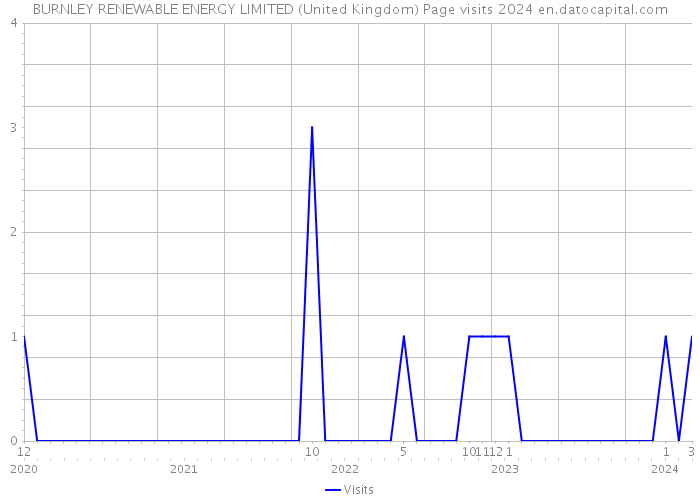 BURNLEY RENEWABLE ENERGY LIMITED (United Kingdom) Page visits 2024 