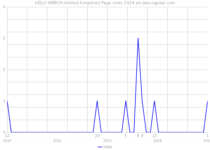 KELLY MEECH (United Kingdom) Page visits 2024 