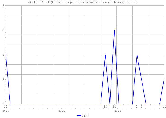 RACHEL PELLE (United Kingdom) Page visits 2024 
