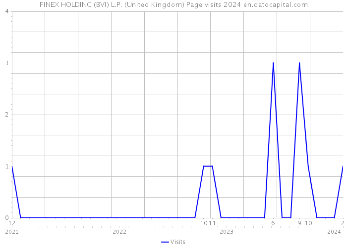 FINEX HOLDING (BVI) L.P. (United Kingdom) Page visits 2024 