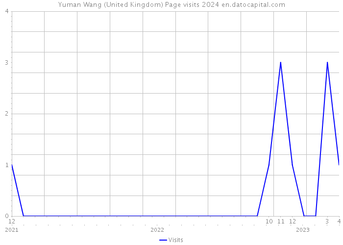 Yuman Wang (United Kingdom) Page visits 2024 