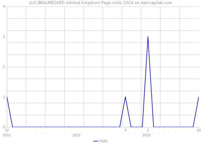 LUC BEAUREGARD (United Kingdom) Page visits 2024 