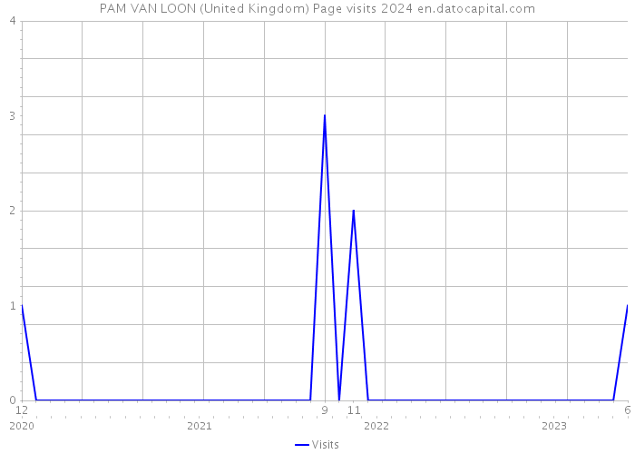 PAM VAN LOON (United Kingdom) Page visits 2024 
