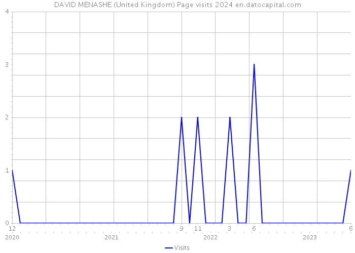 DAVID MENASHE (United Kingdom) Page visits 2024 