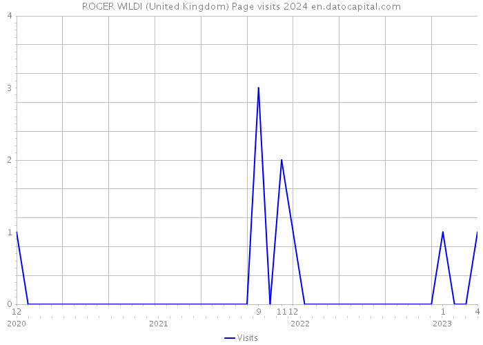 ROGER WILDI (United Kingdom) Page visits 2024 