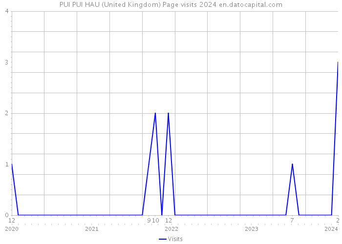 PUI PUI HAU (United Kingdom) Page visits 2024 
