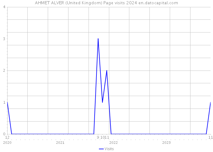 AHMET ALVER (United Kingdom) Page visits 2024 