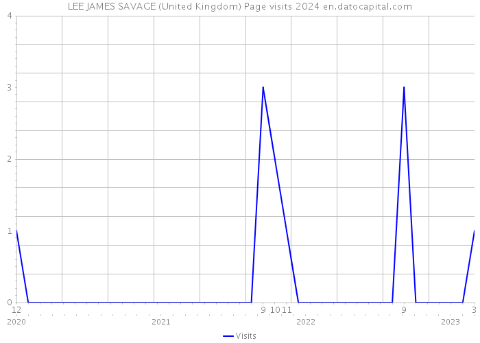 LEE JAMES SAVAGE (United Kingdom) Page visits 2024 