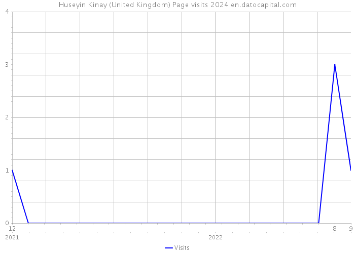 Huseyin Kinay (United Kingdom) Page visits 2024 