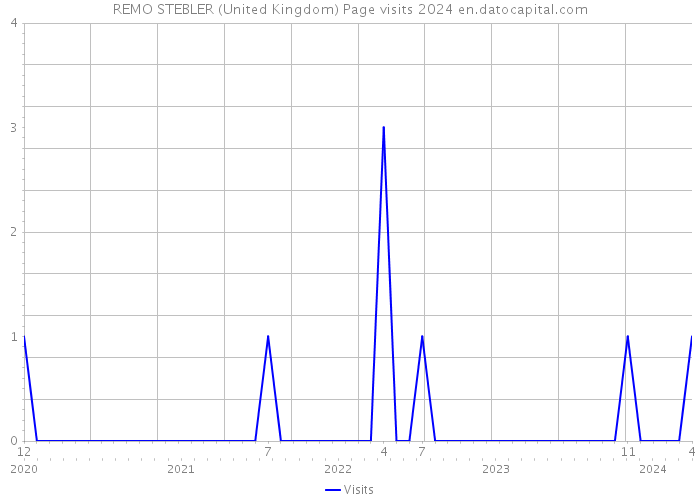 REMO STEBLER (United Kingdom) Page visits 2024 