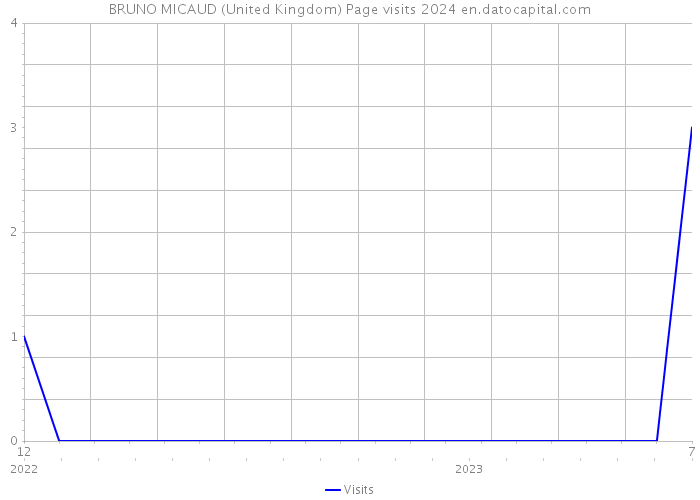 BRUNO MICAUD (United Kingdom) Page visits 2024 