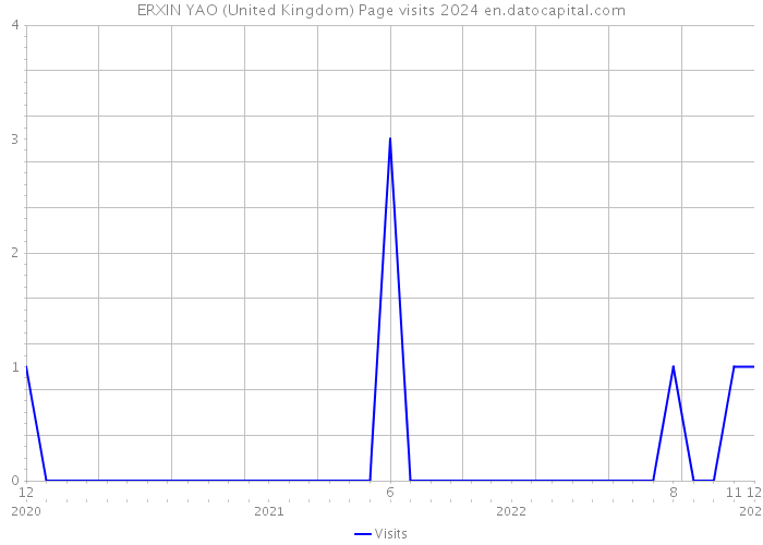 ERXIN YAO (United Kingdom) Page visits 2024 