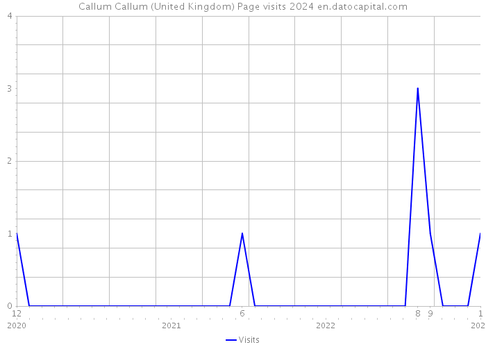 Callum Callum (United Kingdom) Page visits 2024 
