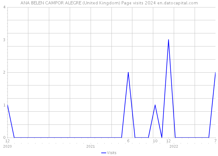 ANA BELEN CAMPOR ALEGRE (United Kingdom) Page visits 2024 