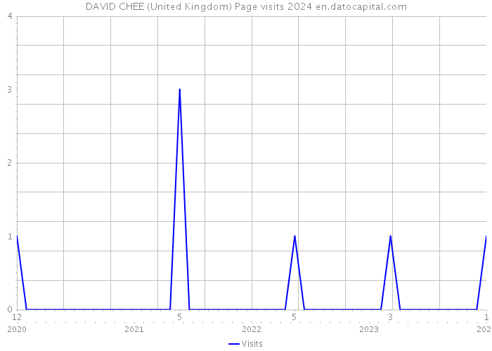DAVID CHEE (United Kingdom) Page visits 2024 
