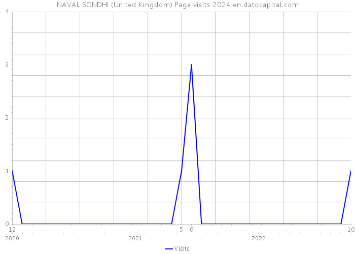 NAVAL SONDHI (United Kingdom) Page visits 2024 