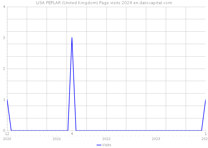 LISA PEPLAR (United Kingdom) Page visits 2024 