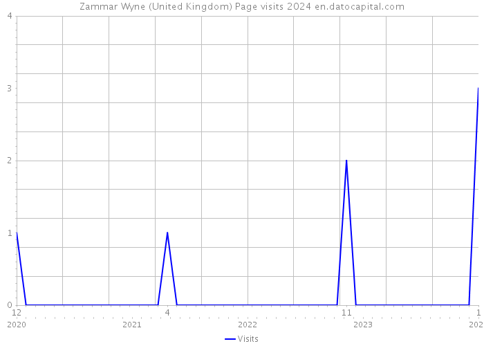 Zammar Wyne (United Kingdom) Page visits 2024 
