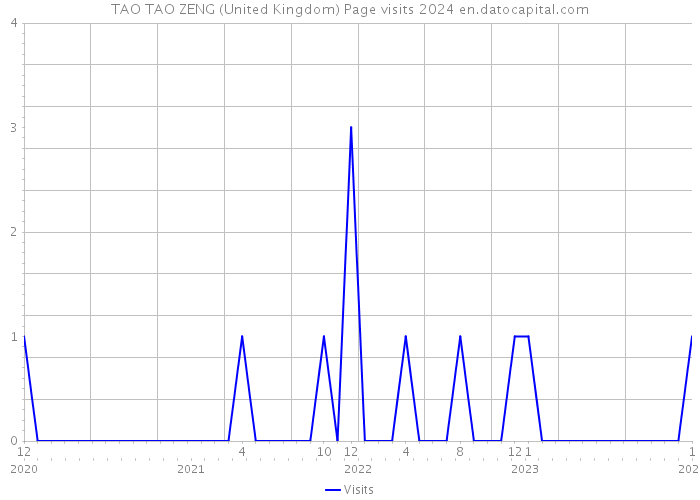 TAO TAO ZENG (United Kingdom) Page visits 2024 